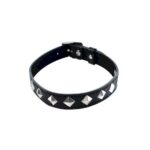 Guler cu nituri Collare Spikes Collar black "Fantasy"
